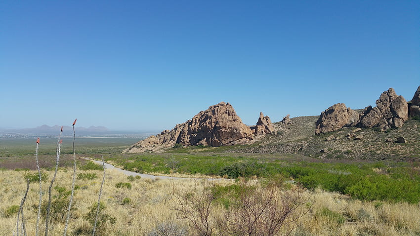 Природа, трева, планини, пътека, пътека, Ню Мексико HD тапет