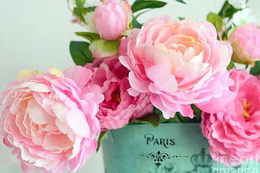 ..Paris Chic Peônias.., peônias, linda, linda natureza morta, amor quatro estações, rosa, natureza, flores, Paris, linda, chique papel de parede HD