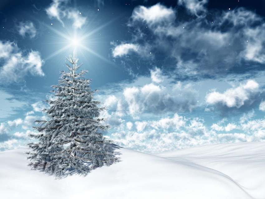 Holidays, Winter, Stars, New Year, Fir-Trees, Christmas, Xmas HD ...