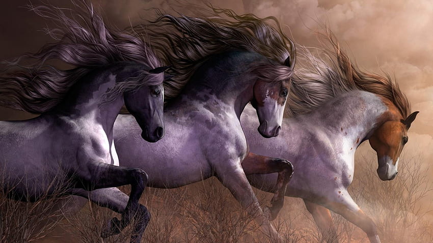 Galloping Wild Horses . Studio 10 HD wallpaper