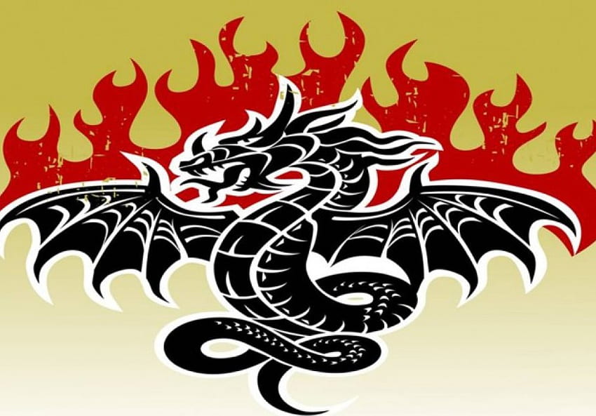 Firey Dragon มังกรจีน ไฟ เปลวไฟ วอลล์เปเปอร์ HD