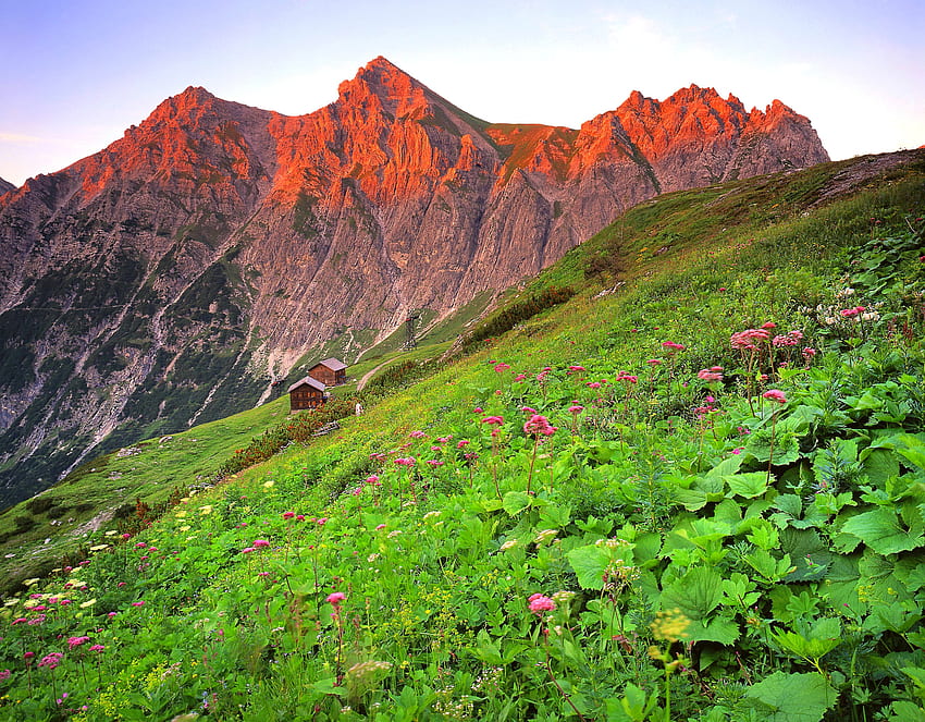 Áustria, Natureza, Grama, Montanha, Declive, Brandnertal papel de parede HD