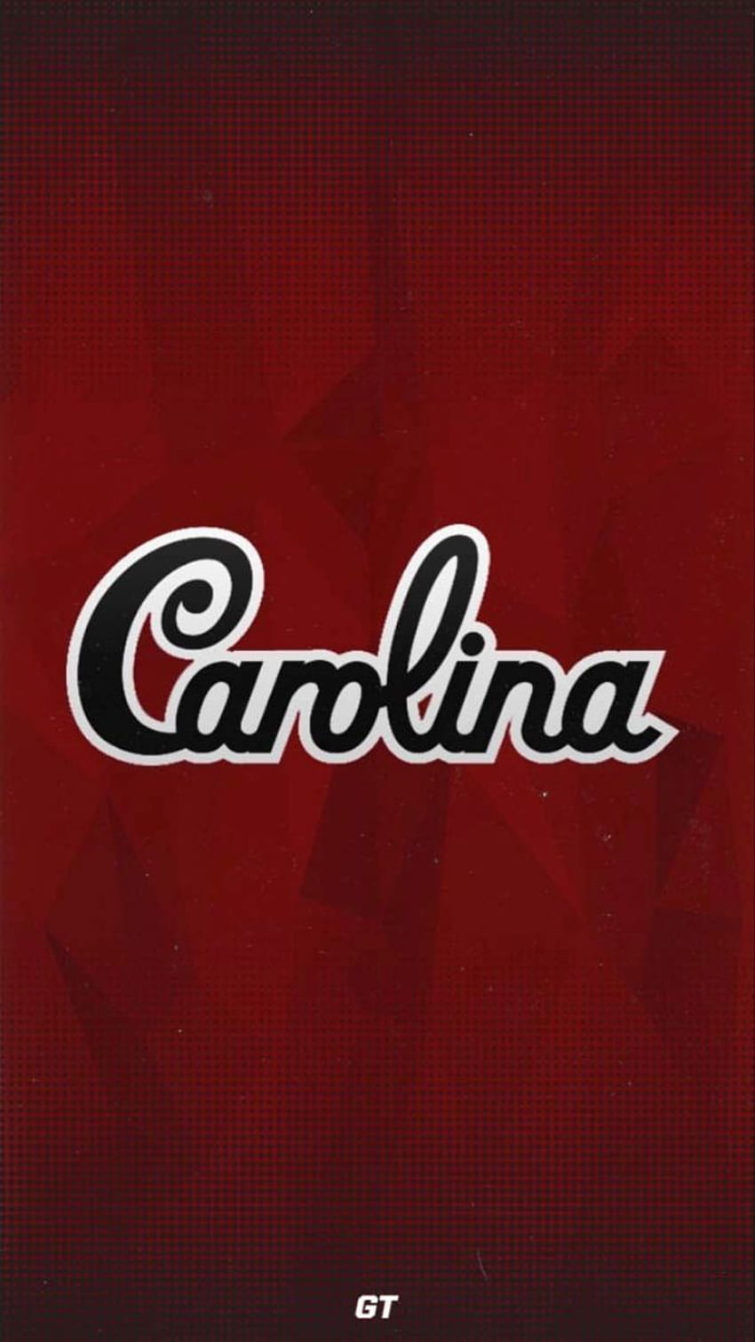 Melinda Elliott on Gamecocks in 2021. South carolina gamecocks, Carolina gamecocks, Gamecocks football HD phone wallpaper