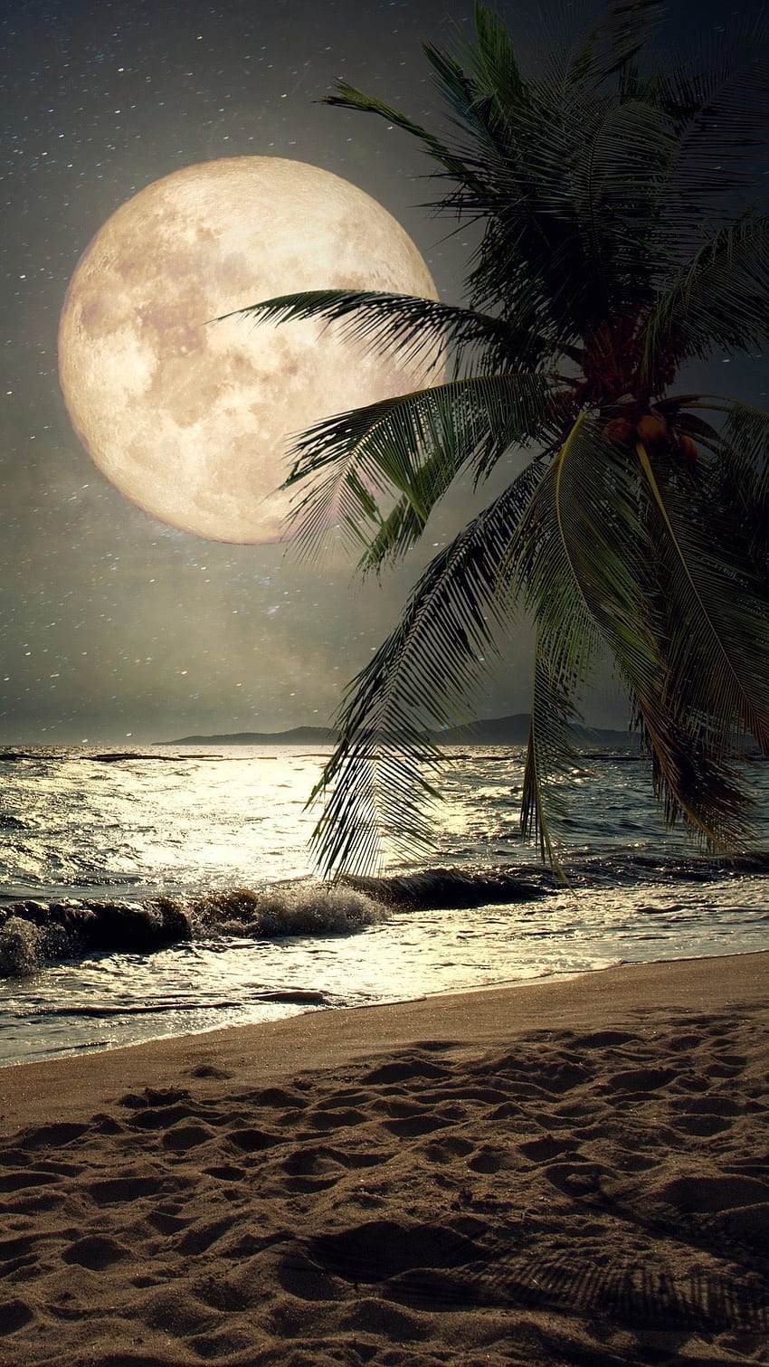 Güzel sahil gecesi. Ay grafisi, doğa , Güzel ay, Mehtap Doğası HD telefon duvar kağıdı