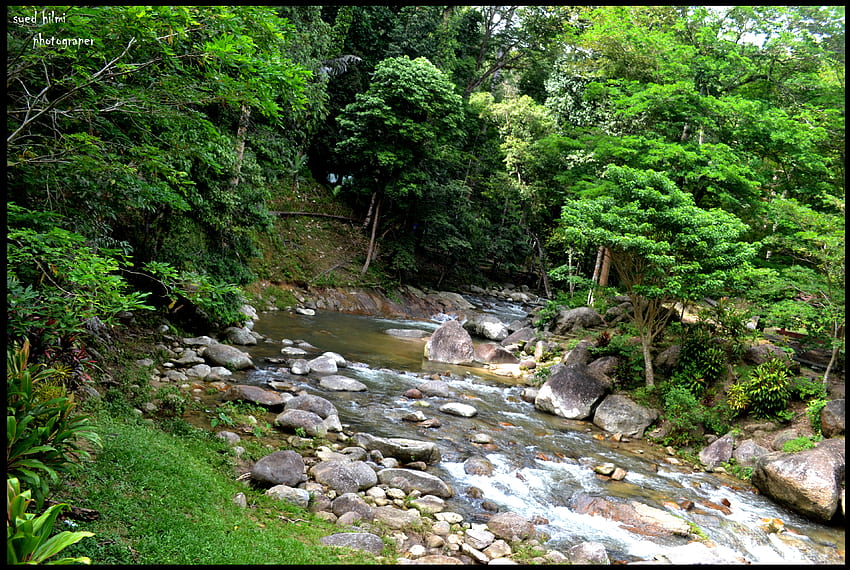 belas cachoeiras, rio, riacho, plantas, árvores, cachoeira, água, rochas, pedras papel de parede HD