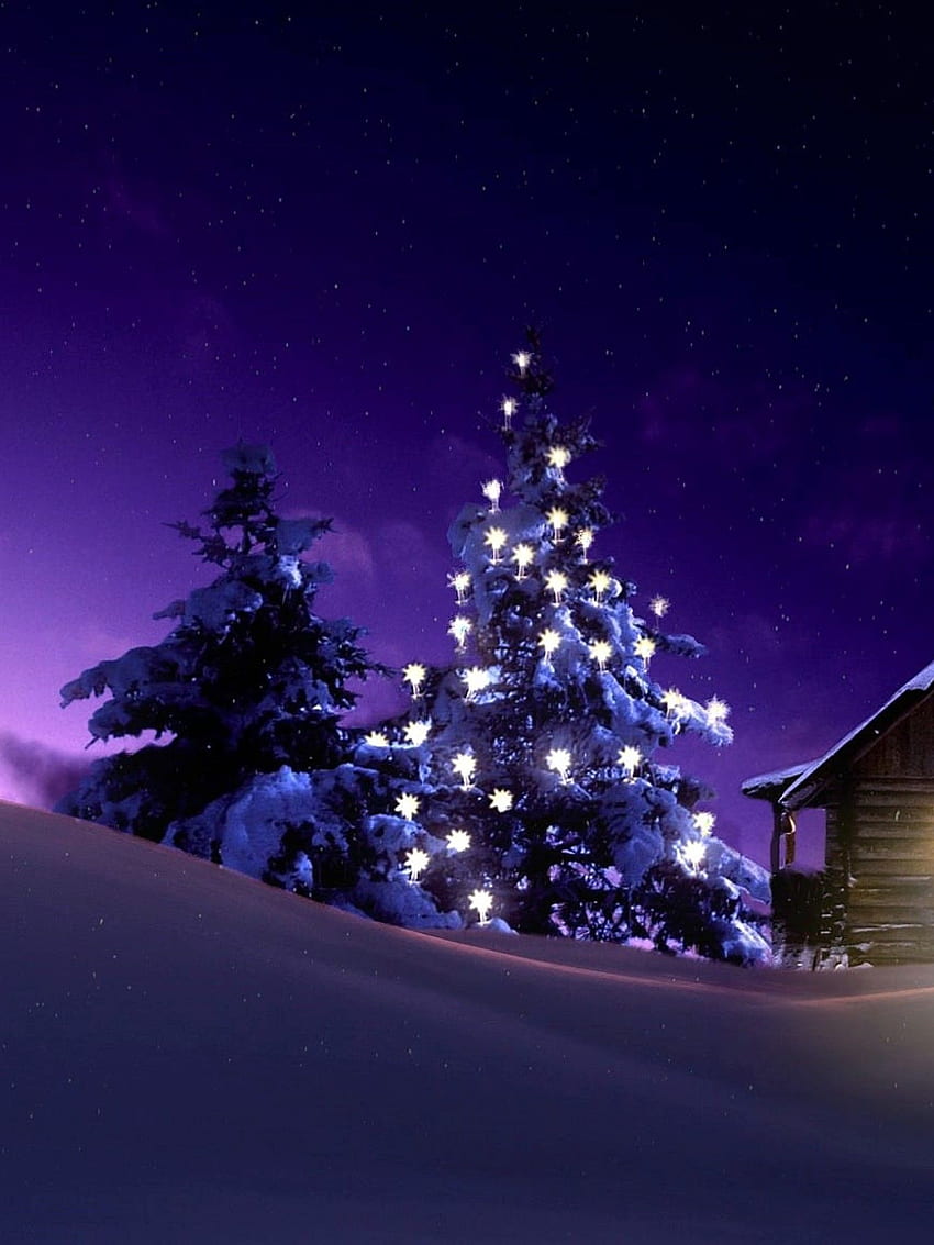 Christmas Lighted Tree Outside Winter Cabin HD phone wallpaper | Pxfuel