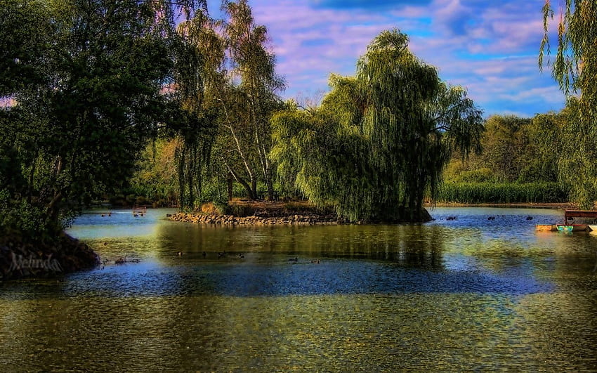 Hungary, Gyongyos, trees, lake, park ,, Hungarian Landscape HD wallpaper
