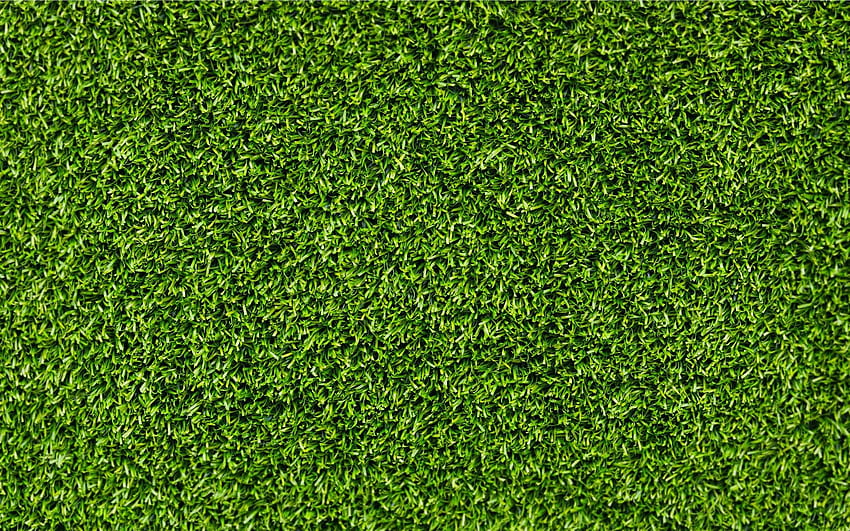 Grass Textured, Lawn HD wallpaper