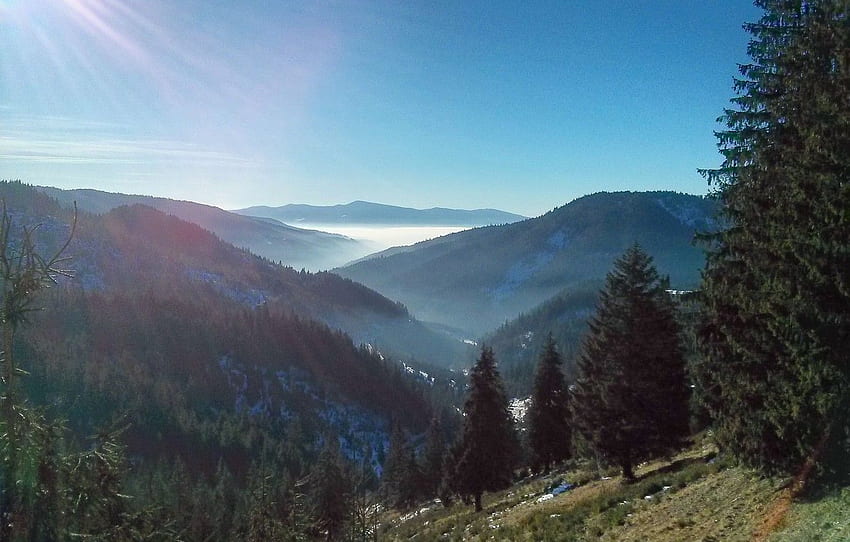 Romania, Fog, Sunny, Carpathian Mountains for , section пейзажи, Romanian HD wallpaper