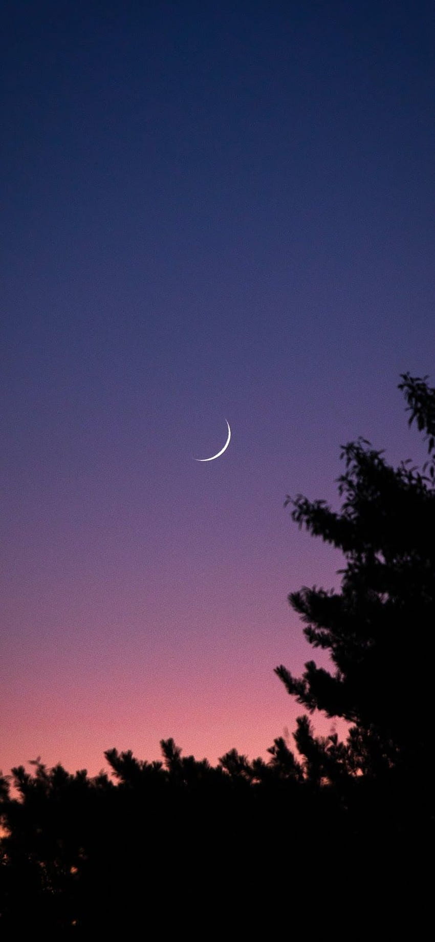 Crescent moon. Scenery , Screen savers , Beautiful for iphone HD phone wallpaper