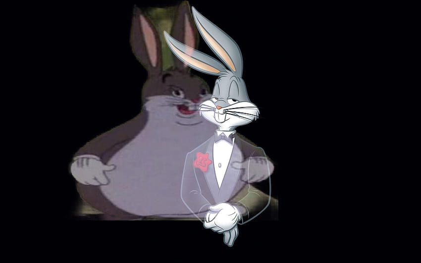 Big Chungus, Big Chungas HD wallpaper | Pxfuel