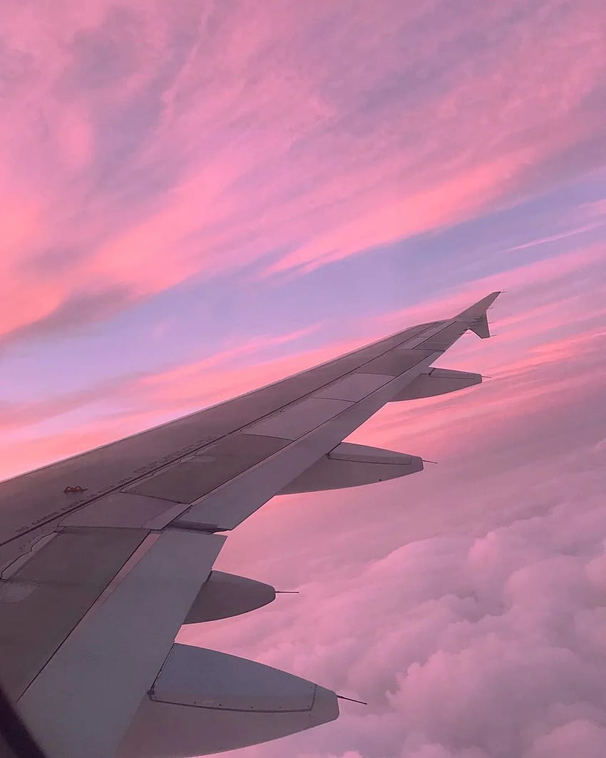 inspo gráfico / ala de avión puesta de sol rosa de viaje, Avión rosa fondo de pantalla del teléfono