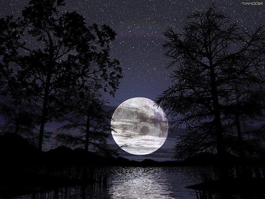 Pełnia księżyca . Księżyc, Natura, Pinterest Księżyc Tapeta HD