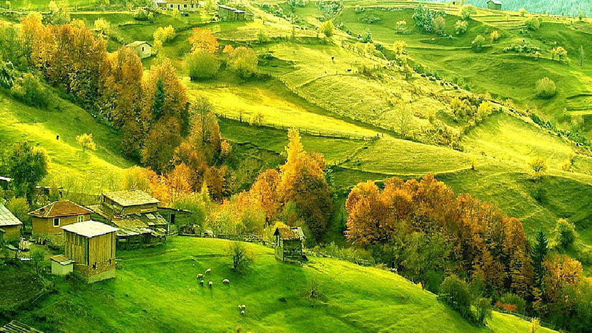 Country Side Italian Countryside Spring Countryside, Italy Spring HD wallpaper