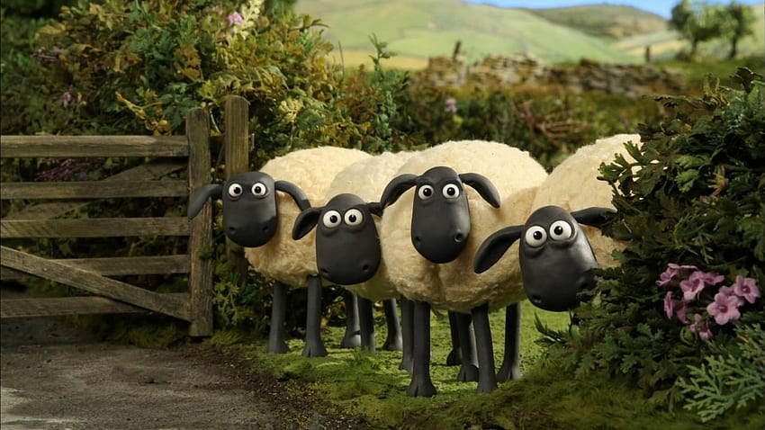 SHAUN THE SHEEP แอนิเมชั่นตลกสำหรับครอบครัว Shaun Sheep วอลล์เปเปอร์ HD