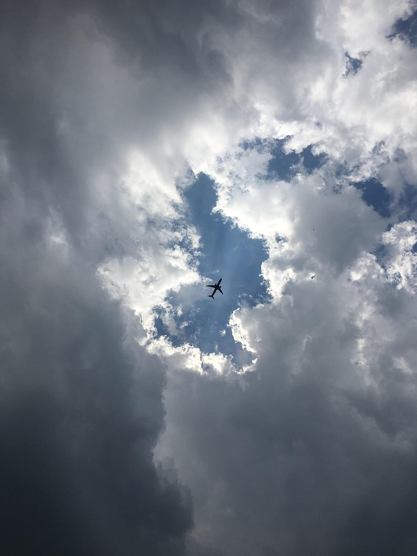 Sky, , , Plane, Airplane, Bottom View HD phone wallpaper
