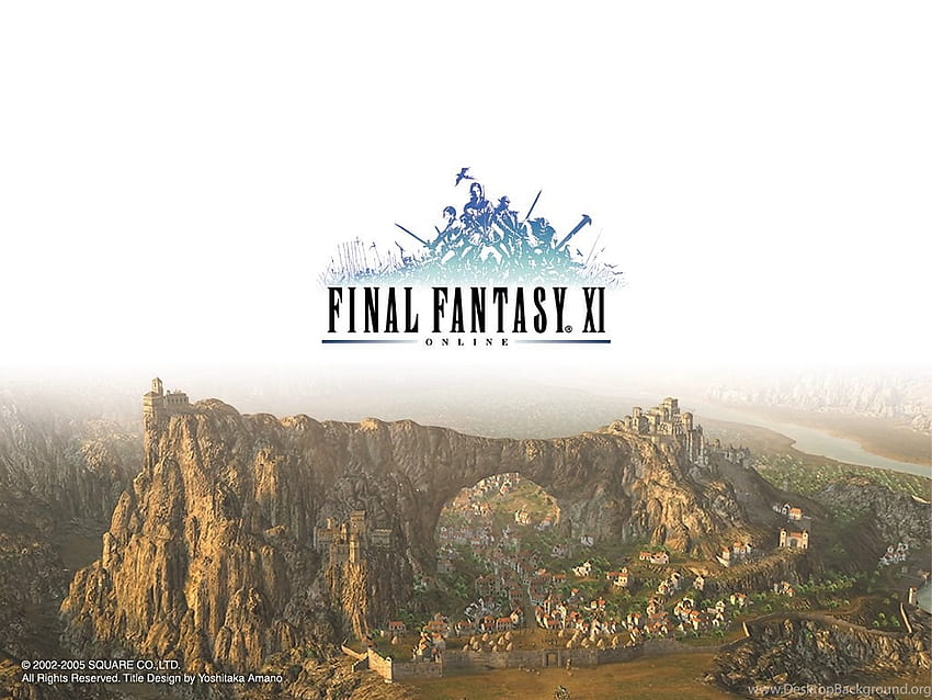 Final Fantasy XI Elvaan, Galka, Hume, TaruTaru, Mithra Background, FFXI HD wallpaper
