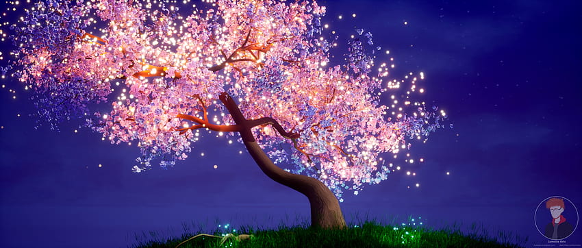 HD cherry blossom night wallpapers  Peakpx