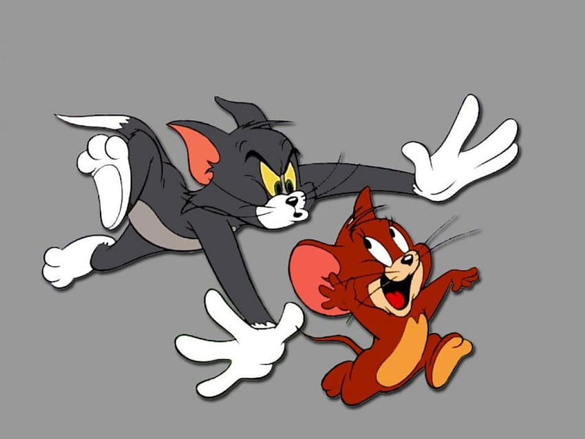 Tom and Jerry, jerry, tom HD wallpaper