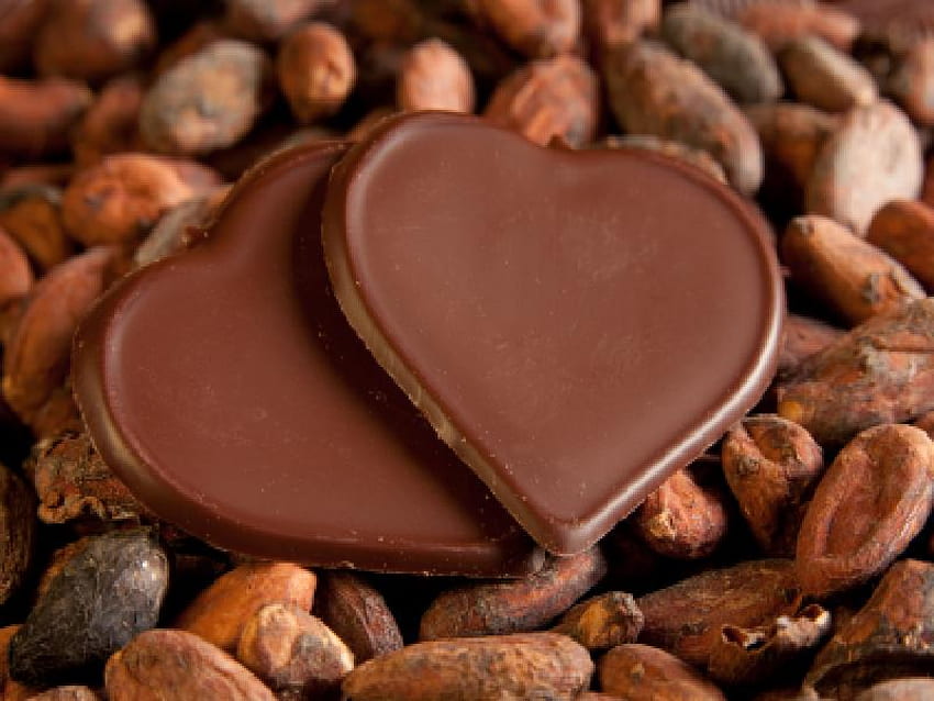 Mi Corazón de Chocolate para todos los DN :), dulce, corazón, chocolate, granos de cacao fondo de pantalla