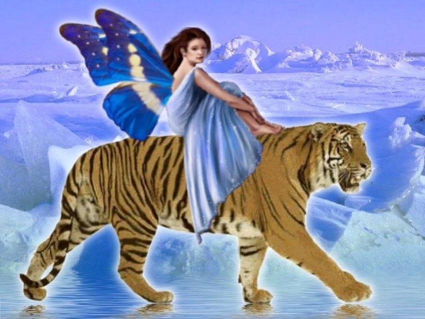 fairy and tiger, magical fairy, and, tiger HD wallpaper