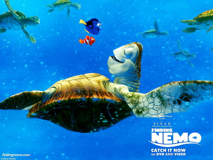 Finding Nemo, Sea Turtle, Green Sea Turtle background. Best HD ...