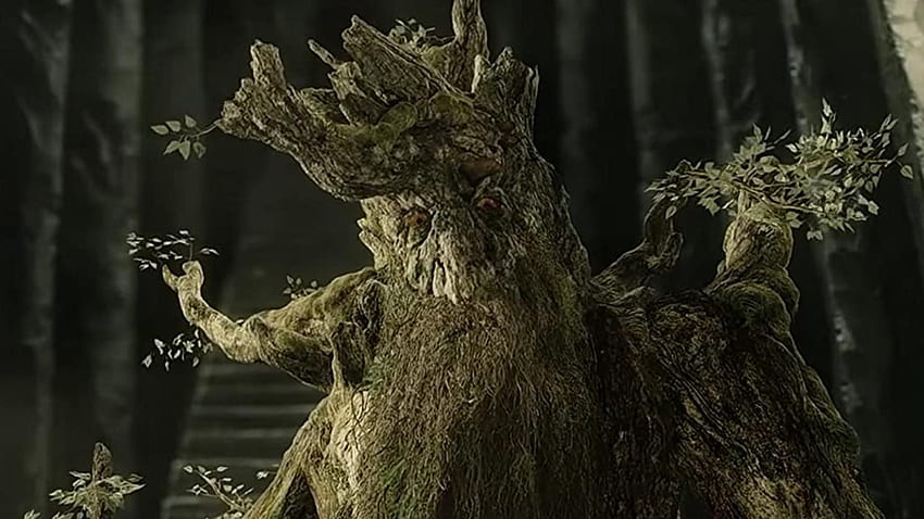 Karakter 'Lord Of The Rings' Terpopuler – Halaman 4 – 24 7 Wall St, Treebeard Wallpaper HD