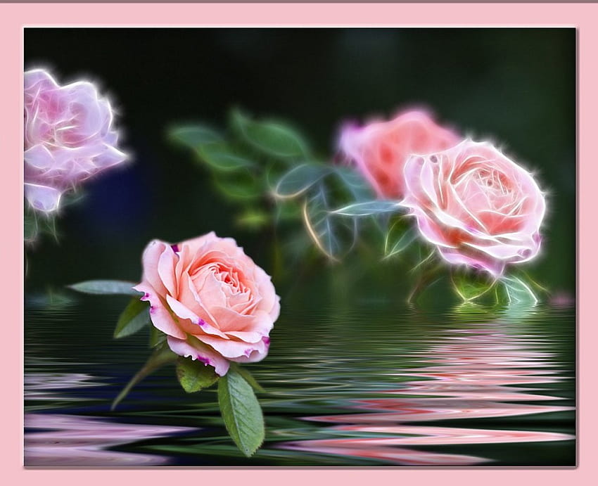 Pretty and pink, roses, 3d HD wallpaper | Pxfuel