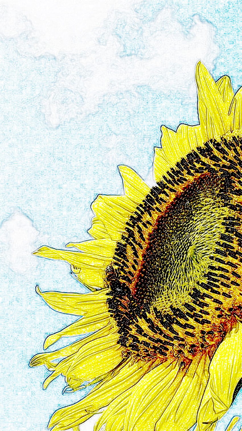 Sunflower Drawing Background Images, HD Pictures and Wallpaper For Free  Download | Pngtree
