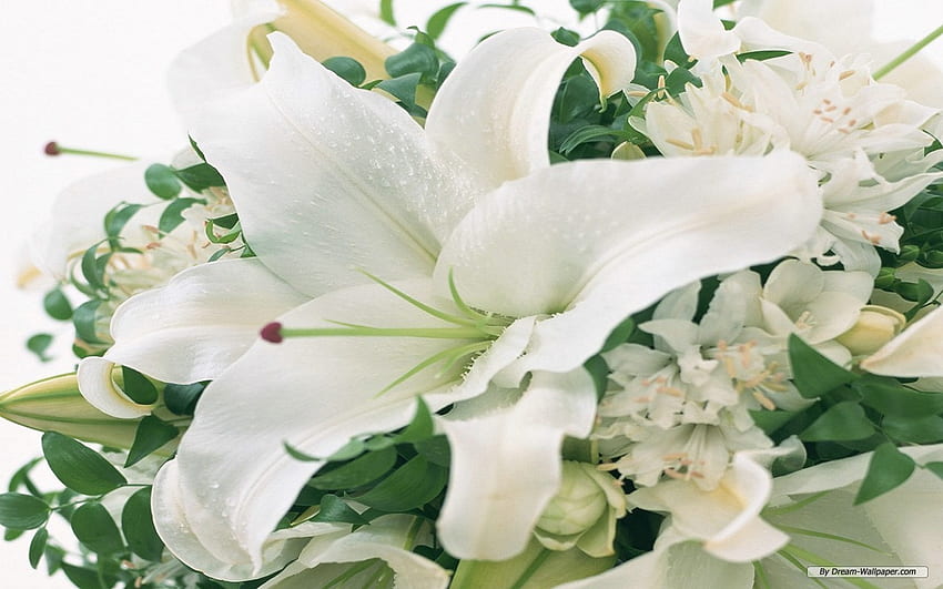 Wedding The World Wedding Flowers Background [] para su, móvil y