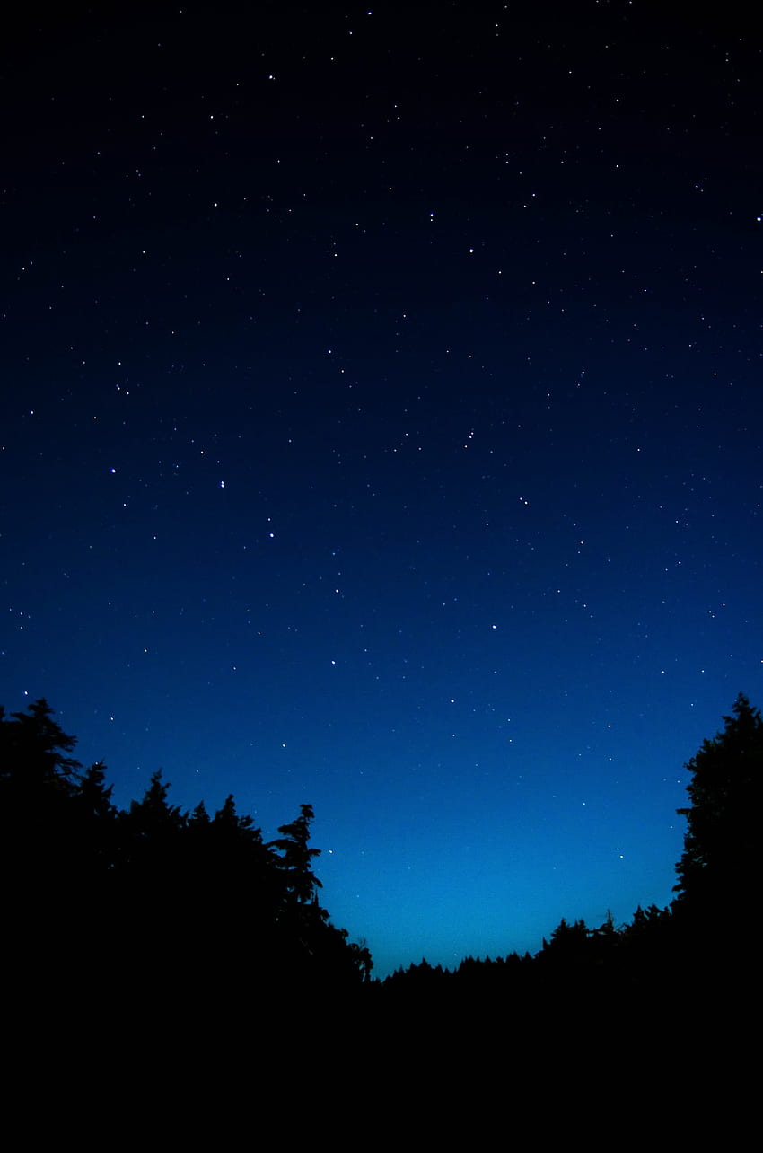Blue Night Sky, Dark Blue Trees HD phone wallpaper