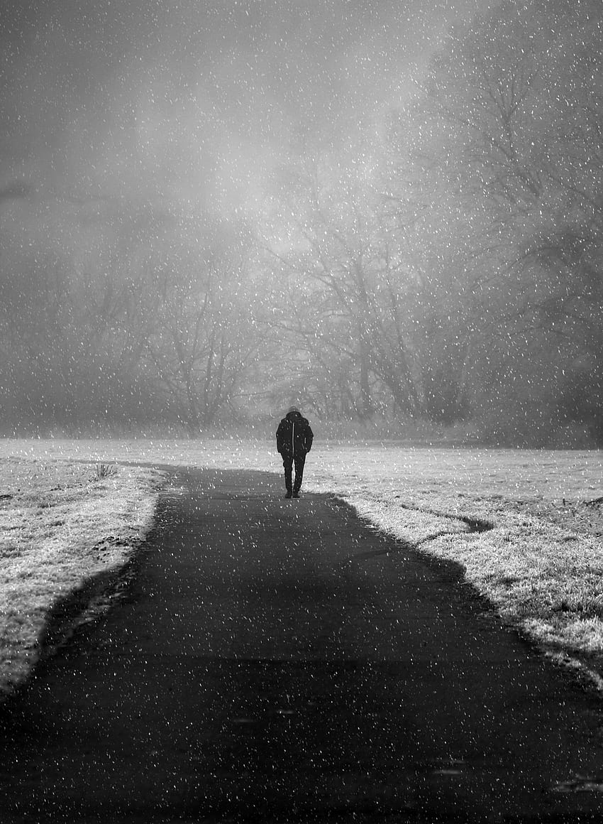 Alone, Winter, Nature, Snow, Silhouette, Fog, Lonely, Snowfall HD phone wallpaper