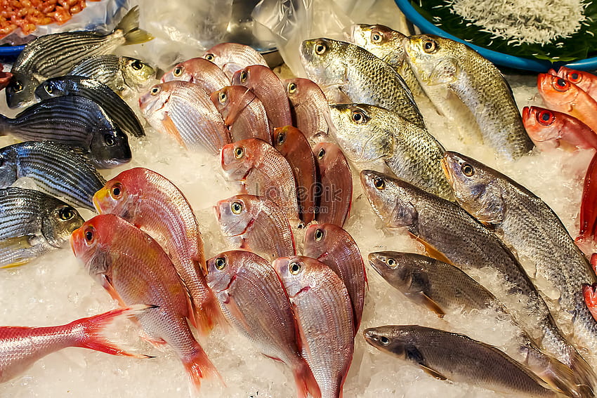 Targ z owocami morza i zapasy na targ rybny Tapeta HD