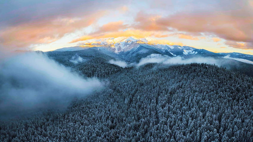 冬のワンダーランド、オレゴン州、アメリカ、霧、雪、木、風景、森の上に雲の切れ間からピークを迎えるフッド山の頂上 高画質の壁紙