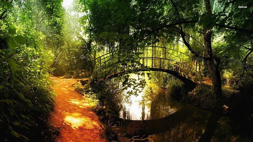 Small Arch Bridge, 건축물, 통로, 주황색, 일광, 일, 이파리, 빛, 초록, 아치, 다리, 금속, 나무, 자연, 물, 숲 HD 월페이퍼