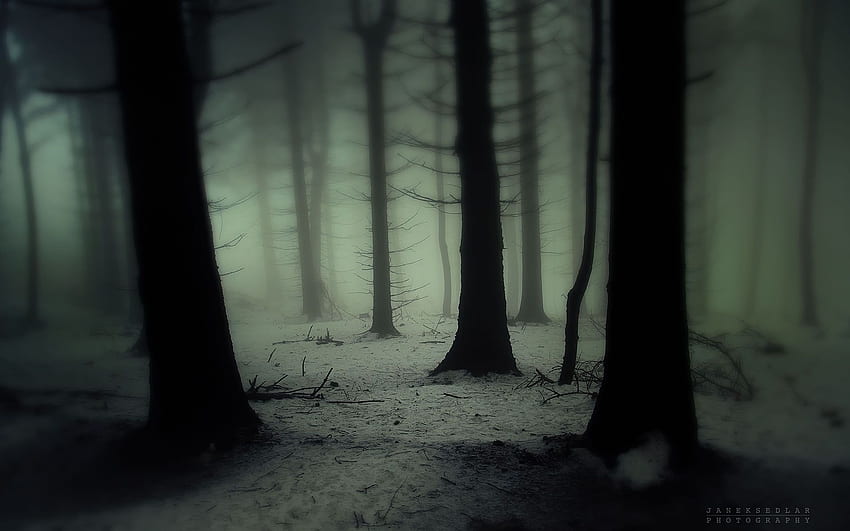 przyroda pejzaże drzewa las drewno mrok śnieg śnieg zima mgła zamglenie mgła zimno upiorny ., Dark Snowy Forest Tapeta HD