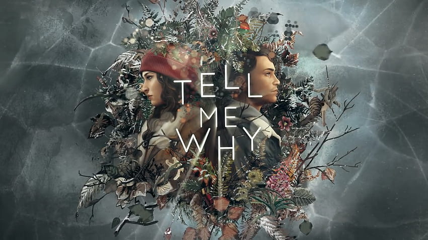 Tell Me Why. Tell Me Why HD wallpaper