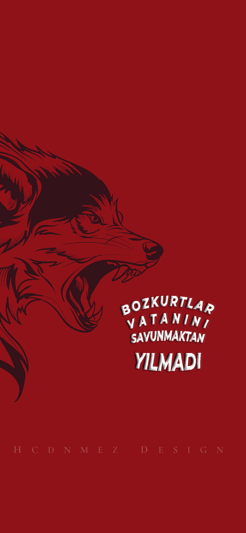 BOZKURT, türkçü, atsız, hcdnmez design, wolf, vatan, green wolf HD phone wallpaper
