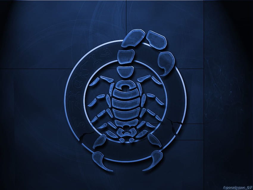Skorpion und Hintergrund, Stammes-Skorpion HD-Hintergrundbild
