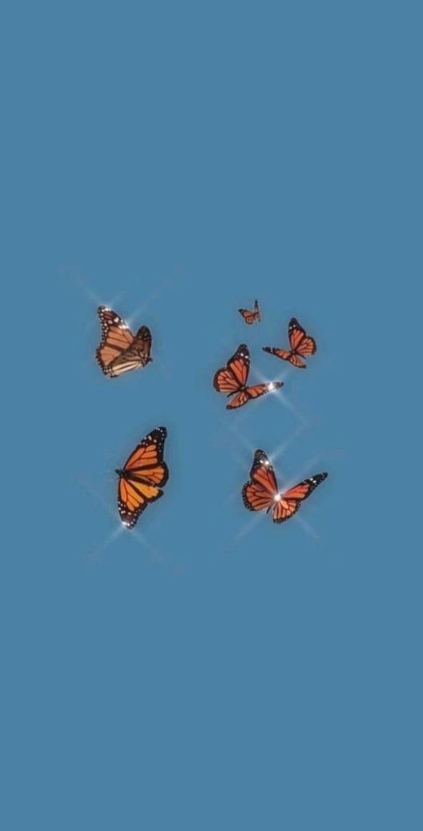 Estetyka motyla, estetyka niebieskiego motyla Tapeta na telefon HD