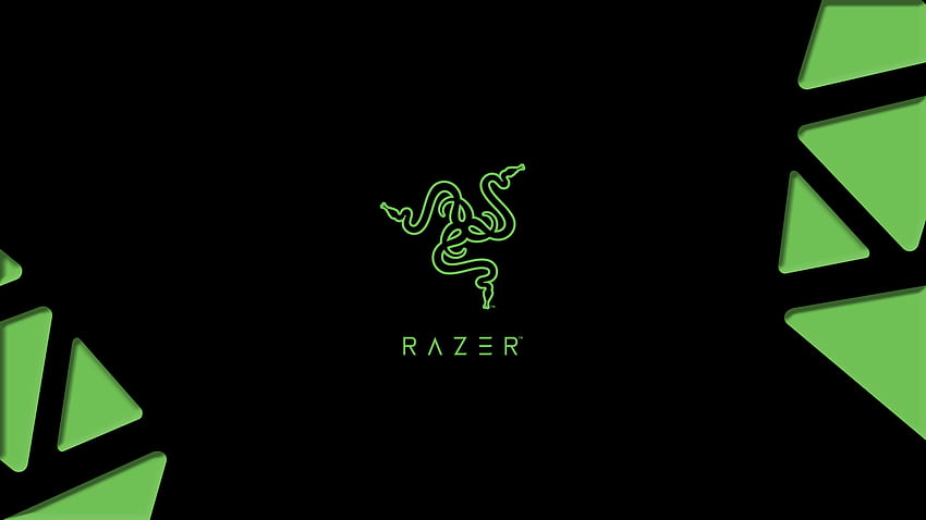 Razer Gamer Logo Laptop Full , Hi Tech , , And Background Den, Windows Gaming Logo HD wallpaper