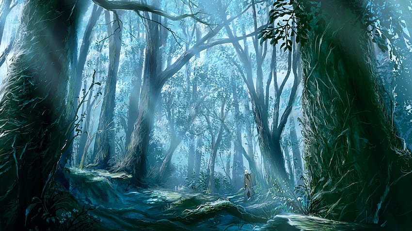 Lost Woods, guy, forest, tree, lost HD wallpaper