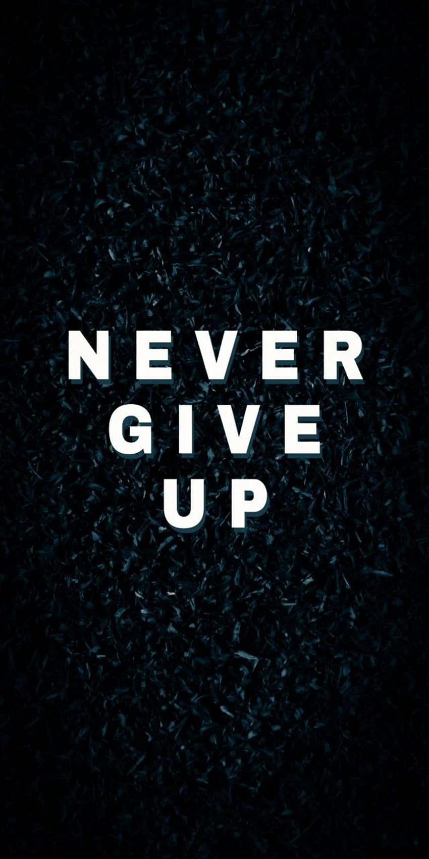 Never give up, Never Quit HD phone wallpaper | Pxfuel