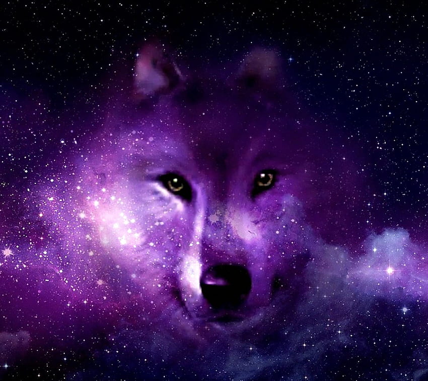 Galaxy Wolf Wolf .pro, Purple Wolves HD wallpaper | Pxfuel