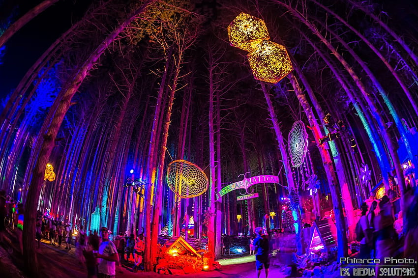 Electric Forest Festival . Day of the Dead Festival , Harvest Festival and Tejano Festival, Psychedelic Forest HD wallpaper
