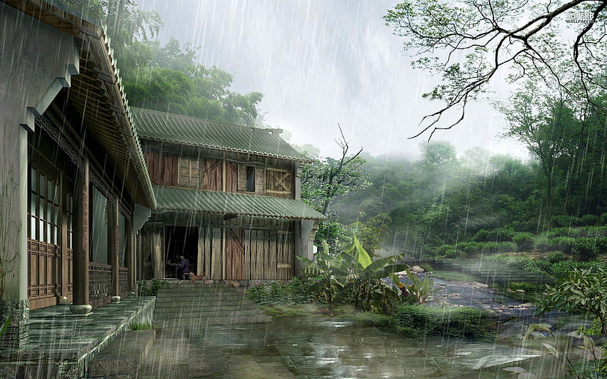 Rainy Day At The Dojo HD wallpaper