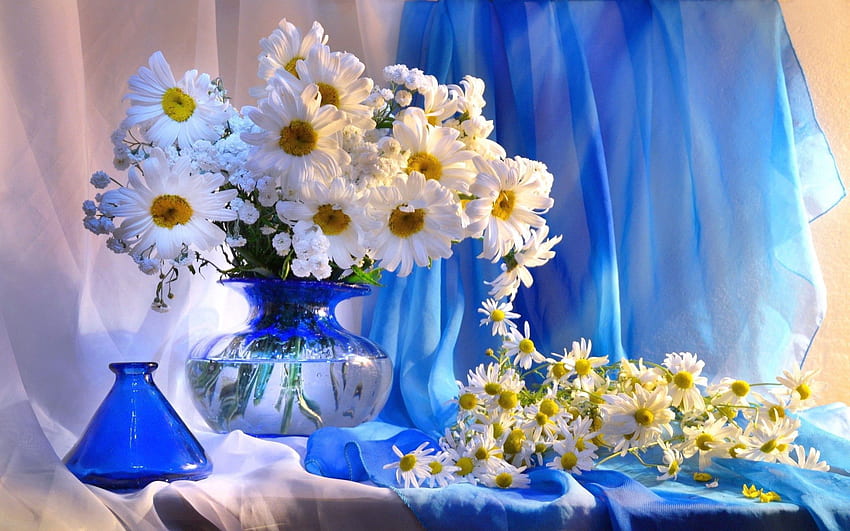 ดอกไม้, ดอกคาโมไมล์, การลงทะเบียน, การพิมพ์, ช่อดอกไม้, แจกัน วอลล์เปเปอร์ HD