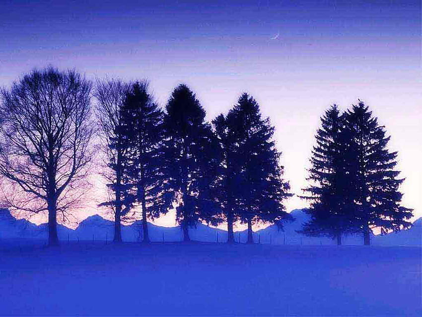 Winterscape, inverno, azul, temporada, neve, árvore papel de parede HD