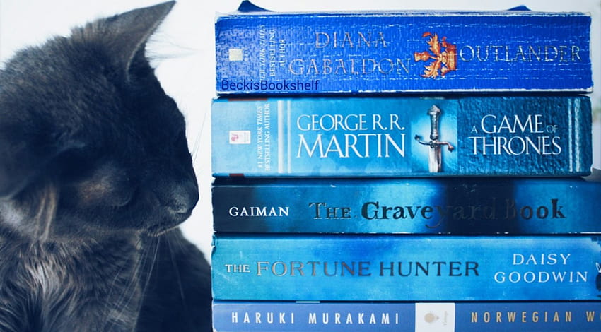 * Коя книга да избера?*, синьо, книги, черно, романи, котка HD тапет