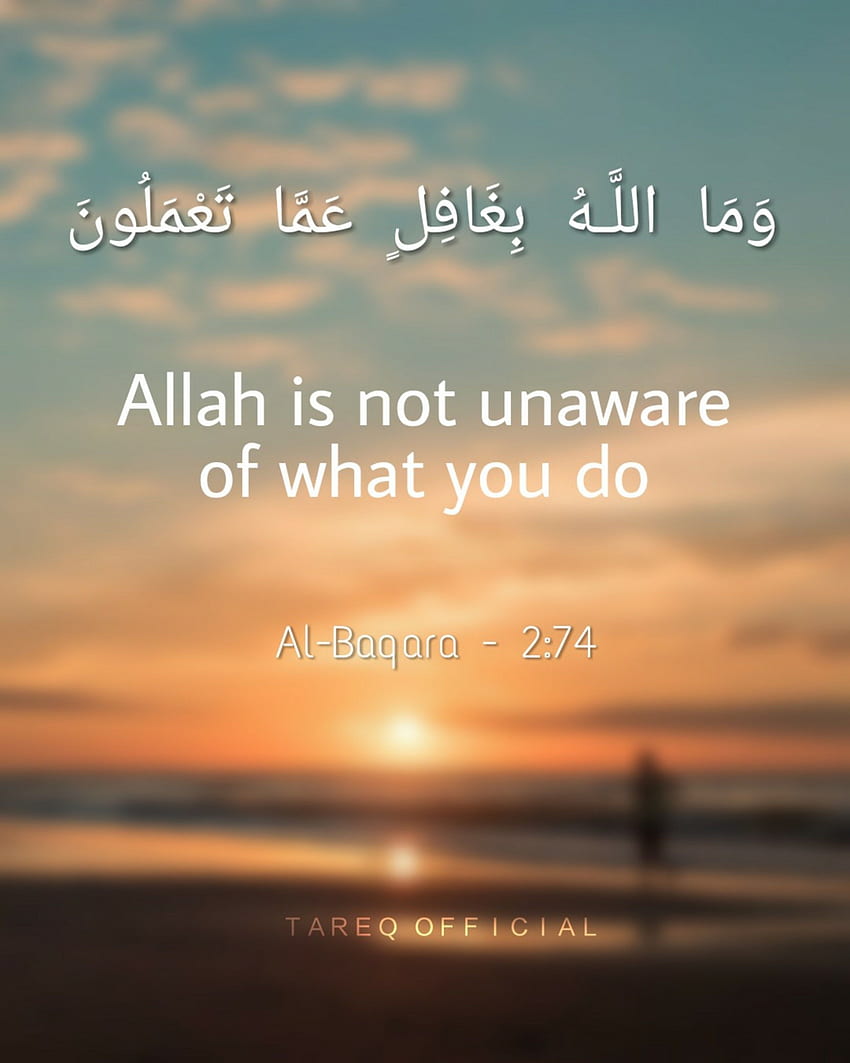 stock of islam, quotes, Quran, Islamic Quotes HD phone wallpaper